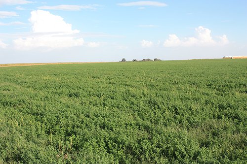 Property photo 6 - LAND AUCTION, 3255+/- Acres offered in 13 Tracts